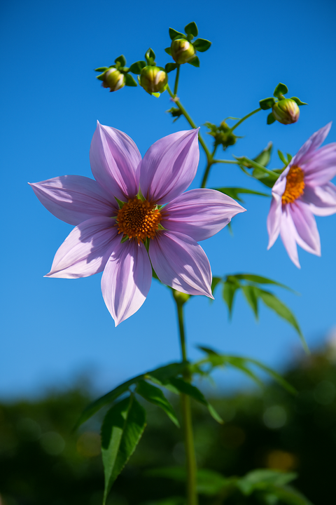 Copilot_20251031_202330