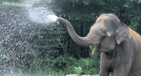 スクリーンショット 2025-11-20 024300