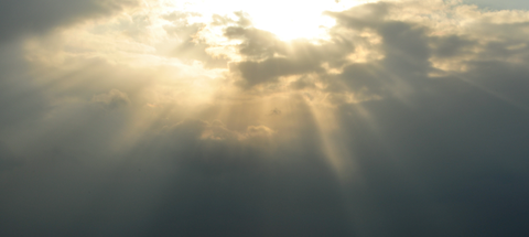 スクリーンショット 2024-11-30 121426