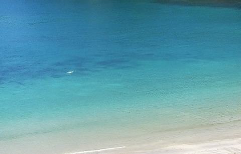 ようやく明るい兆しが