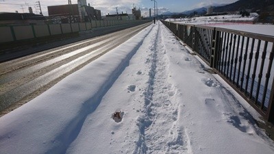 雪道