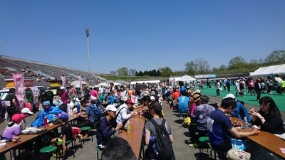 豊マラ-4