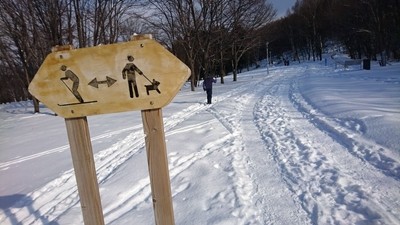 真駒内公園雪上ラン