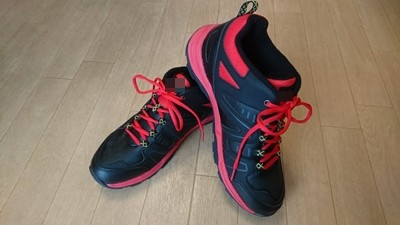 ダサいスノーシューズ