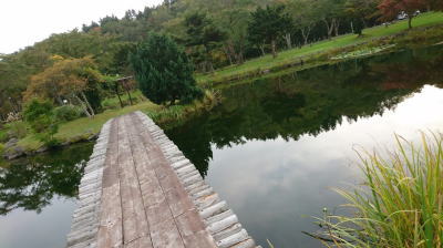 長万部キャンプ場 池