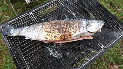 炭コンロ