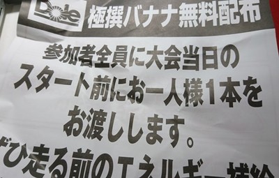 豊マラ-3