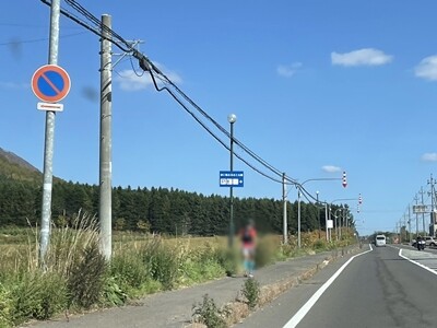ルスツロング走