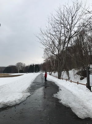 雪解け情報真駒内公園