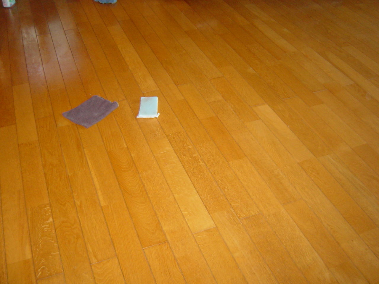 そろそろ汚い床のお掃除をしないと Mamaずきんのblog そろそろ汚い床のお掃除をしないと Mamaずきんのblog