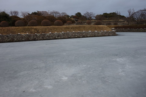 DSC03680