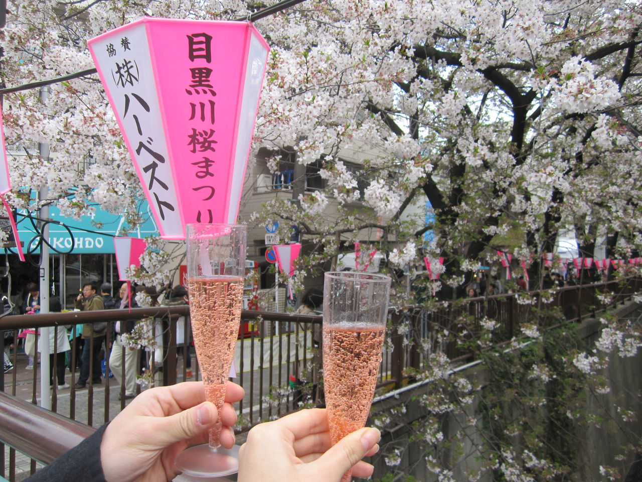目黒川桜まつり Miss Weekender 会社員の週末たび日記
