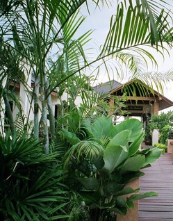 ���㥹�ߥ�