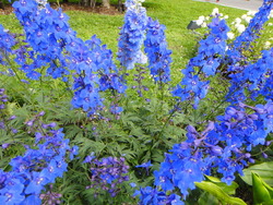 DSC00129