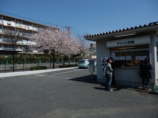 omiya (158)