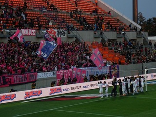 omiya (131)