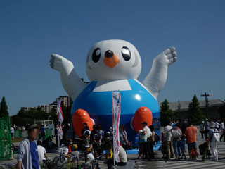 P5040464
