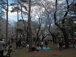 omiya (106)