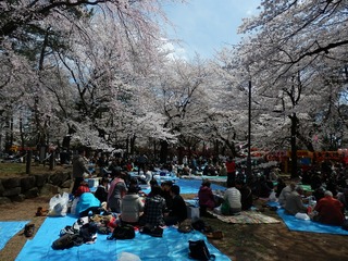 omiya (108)