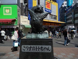 omiya (103)
