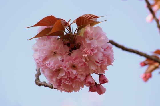 イメージ 9