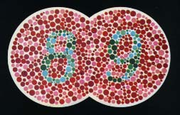 俺の世界 スチール缶の中身