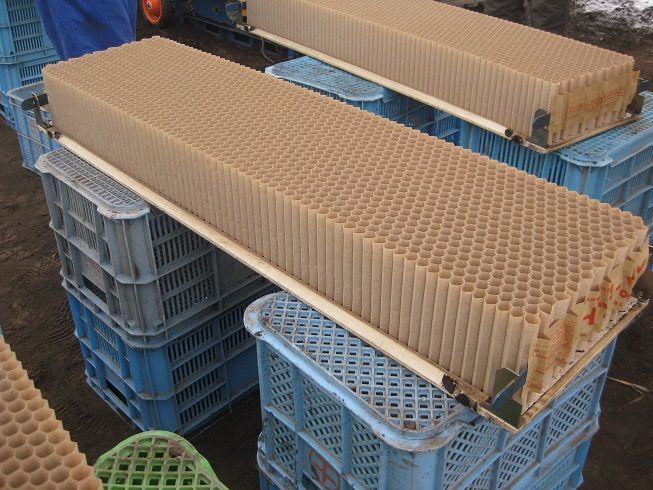 ビートポット作りセット ビートポット作りセット