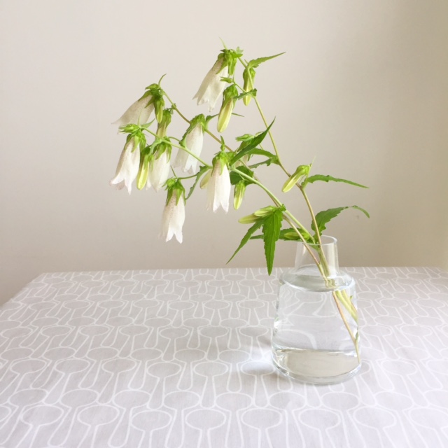 ホタルブクロを飾ったら 良品週間スタートです Stella Powered By ライブドアブログ ホタルブクロを飾ったら 良品週間スタートです Stella Powered By ライブドアブログ