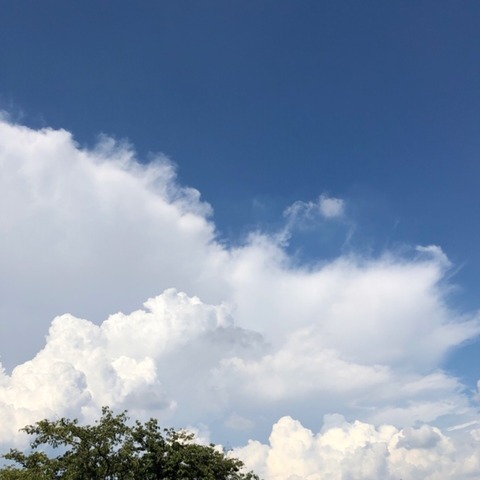 EE34F042-1E69-4BC4-B74A-BA55C1470947