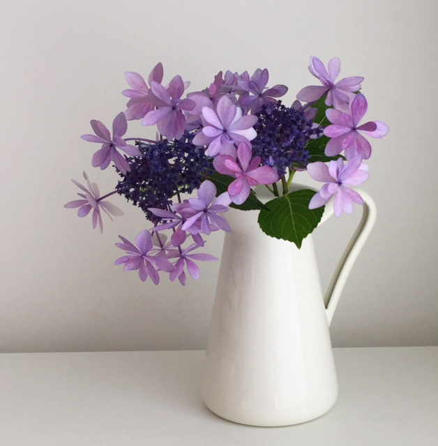こんなに小さいのに耐震効果抜群 おかげで 花のある暮らし Stella Powered By ライブドアブログ こんなに小さいのに耐震効果抜群 おかげで 花のある暮らし Stella Powered By ライブドアブログ