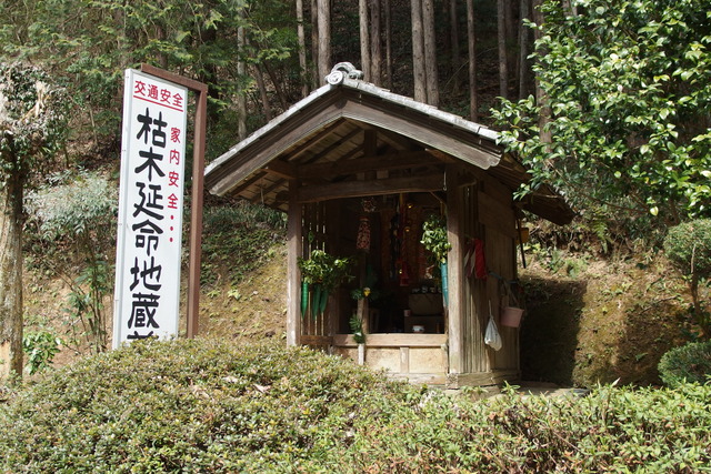 P3040035