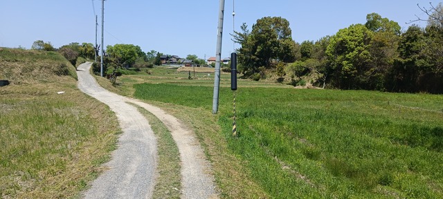 IMG_20240419_115312