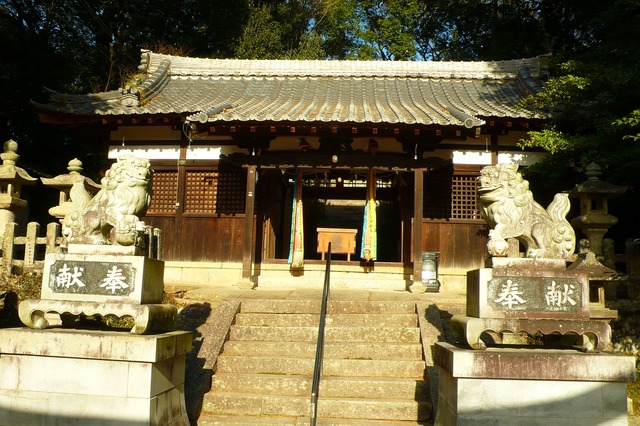 P1010771