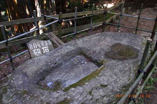 rs-R732083828