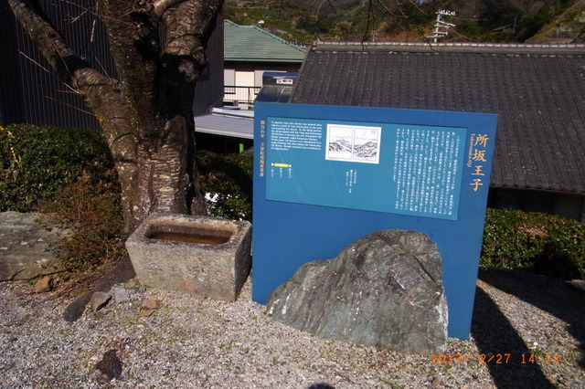 rs-R732096456