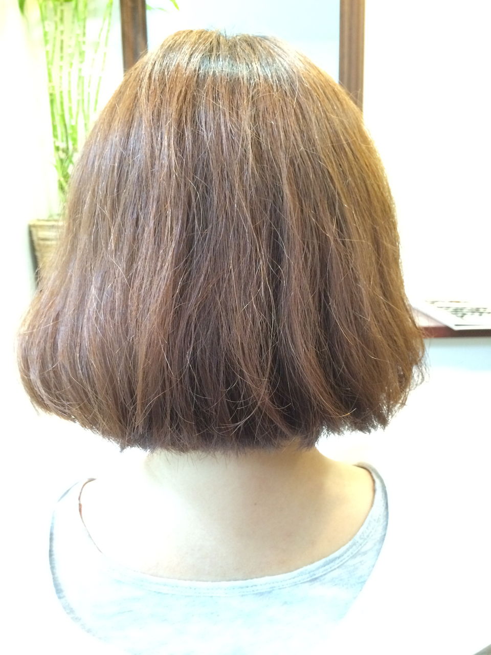 広島市のヘアサロン Stellahairのブログ 広島市のヘアサロン Stellahairのブログ