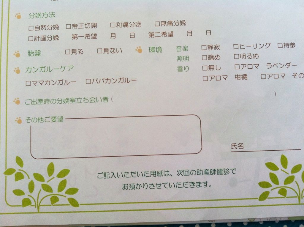 31w6d バースプランの記入 続 私の赤ちゃん 31w6d バースプランの記入 続 私の赤ちゃん