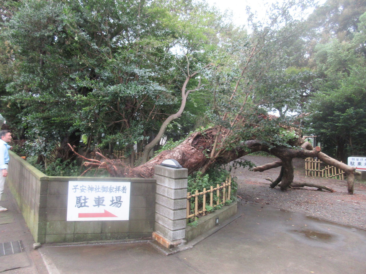 台風15号から一週間 幕張 畑町と花見川区で訪問活動を行いました 寺尾さとしのブログ 台風15号から一週間 幕張 畑町と花見川区で訪問活動を行いました 寺尾さとしのブログ