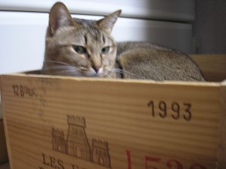 くりやっこ
