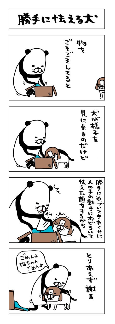 7C52120C-B99E-4D4C-B295-76F19D886193