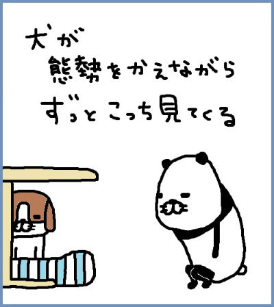 804