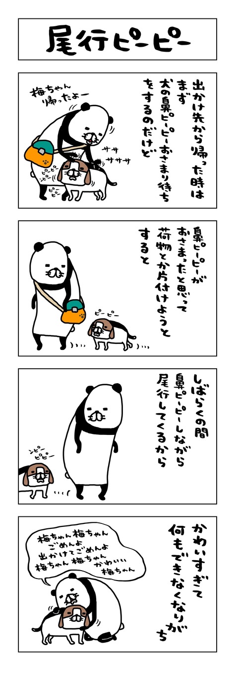 C985655F-47BF-4303-8B45-902FC8FE60B8