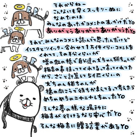 CD56DA8A-6567-4B00-8A4C-6706F8BB29C0