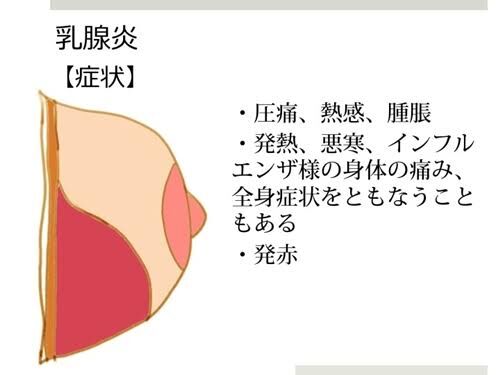 誰も教えてくれなかった 砂糖ヒジリのミカンの皮