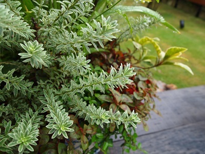 片山由美 オフィシャルブログ 「Bienvenue chez nous!」 powered by Ameba