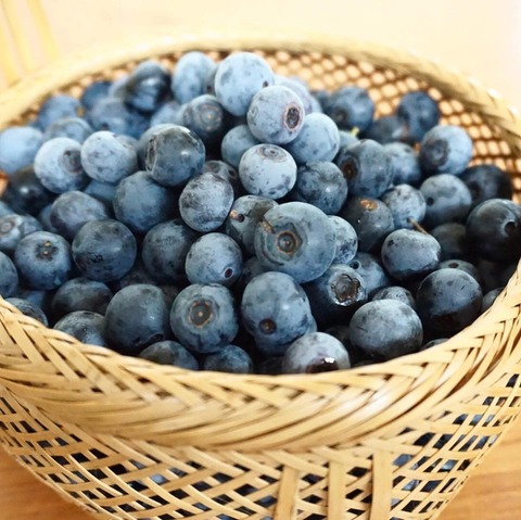 67553406_1421900971281608_305579686090506240_n