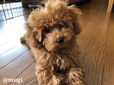 121659762_1836911789780522_2170808558871139710_n