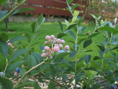 片山由美 オフィシャルブログ 「Bienvenue chez nous!」 powered by Ameba