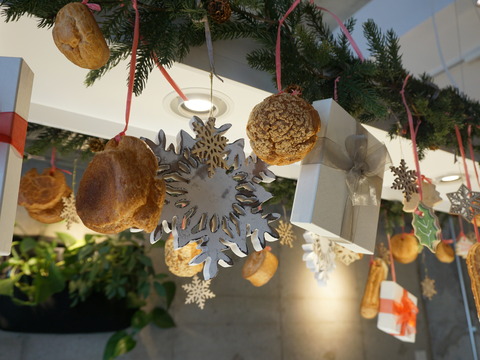 DSC02150 (1)