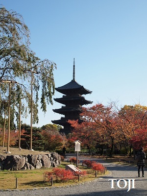 片山由美 オフィシャルブログ 「Bienvenue chez nous!」 powered by Ameba